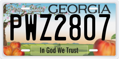 GA license plate PWZ2807