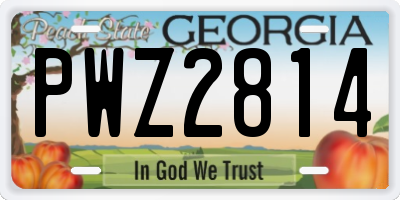 GA license plate PWZ2814