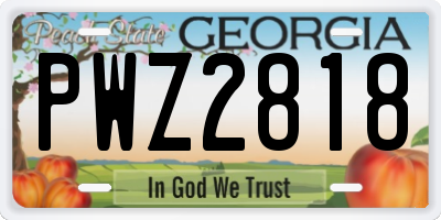 GA license plate PWZ2818