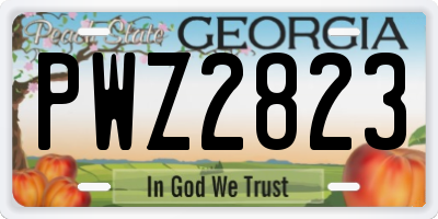GA license plate PWZ2823