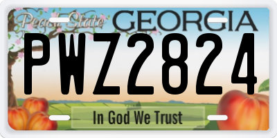 GA license plate PWZ2824