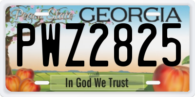 GA license plate PWZ2825