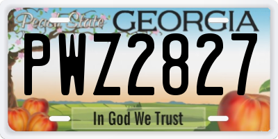GA license plate PWZ2827