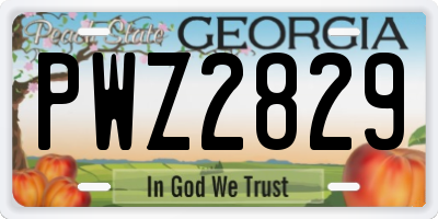 GA license plate PWZ2829