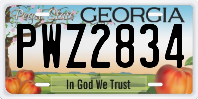GA license plate PWZ2834