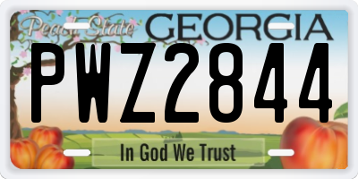GA license plate PWZ2844