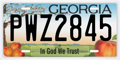GA license plate PWZ2845