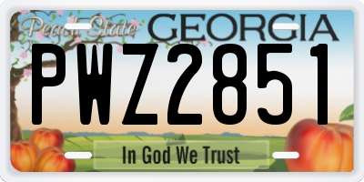 GA license plate PWZ2851
