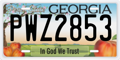 GA license plate PWZ2853