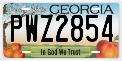 GA license plate PWZ2854