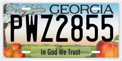 GA license plate PWZ2855