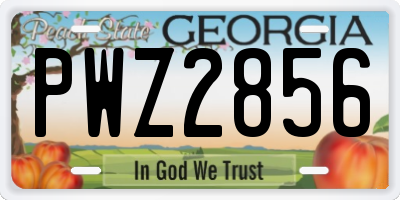 GA license plate PWZ2856