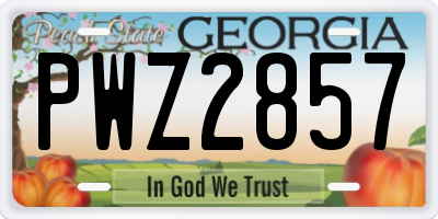GA license plate PWZ2857