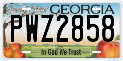 GA license plate PWZ2858