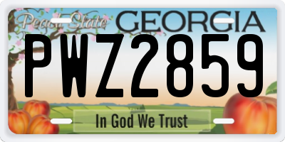 GA license plate PWZ2859