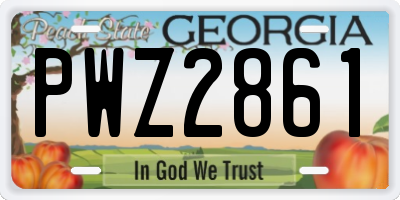 GA license plate PWZ2861