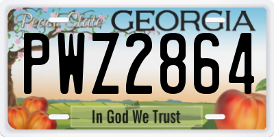 GA license plate PWZ2864