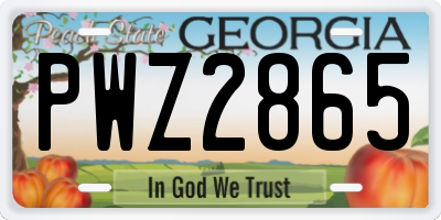 GA license plate PWZ2865
