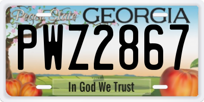 GA license plate PWZ2867