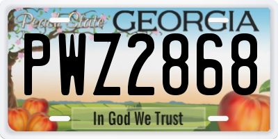 GA license plate PWZ2868