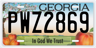 GA license plate PWZ2869