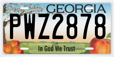 GA license plate PWZ2878