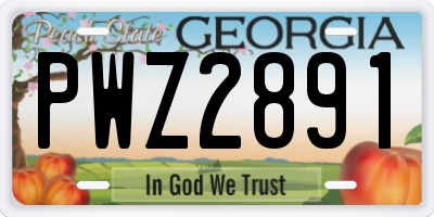 GA license plate PWZ2891