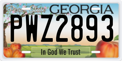 GA license plate PWZ2893