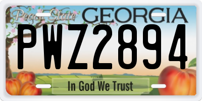 GA license plate PWZ2894