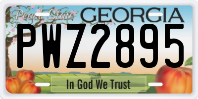 GA license plate PWZ2895