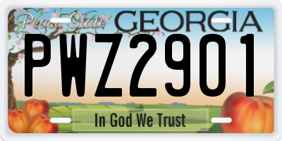 GA license plate PWZ2901