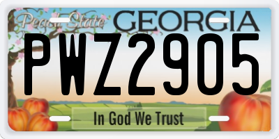 GA license plate PWZ2905