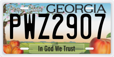 GA license plate PWZ2907