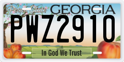 GA license plate PWZ2910
