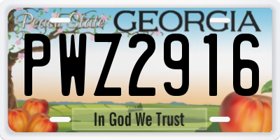 GA license plate PWZ2916