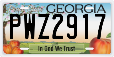 GA license plate PWZ2917
