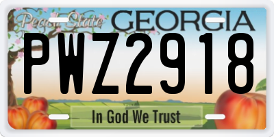 GA license plate PWZ2918