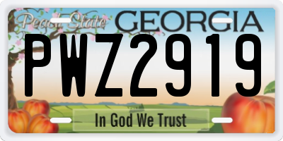GA license plate PWZ2919