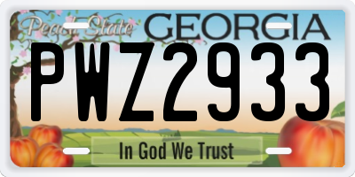 GA license plate PWZ2933