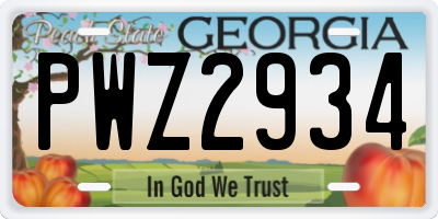GA license plate PWZ2934