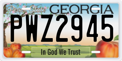 GA license plate PWZ2945