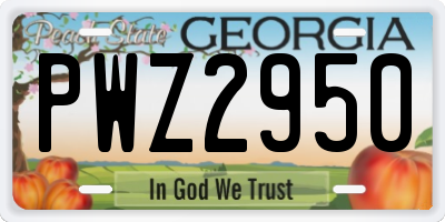 GA license plate PWZ2950
