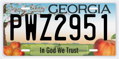 GA license plate PWZ2951