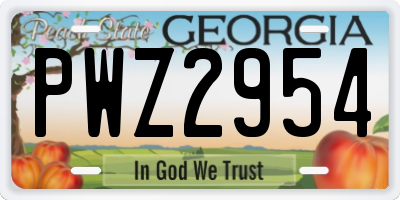 GA license plate PWZ2954