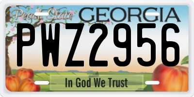 GA license plate PWZ2956