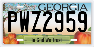 GA license plate PWZ2959