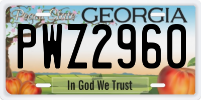 GA license plate PWZ2960