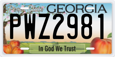 GA license plate PWZ2981