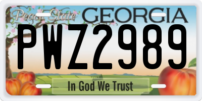GA license plate PWZ2989