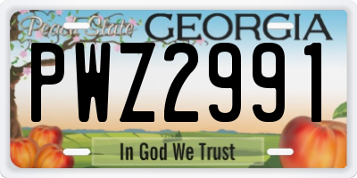 GA license plate PWZ2991
